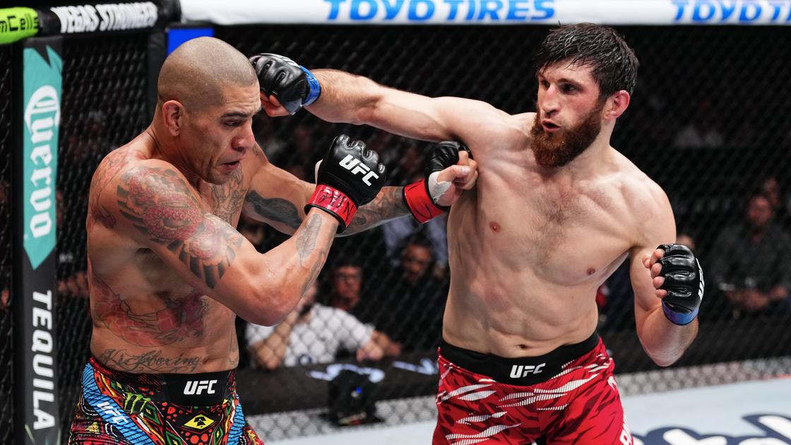 Бойцы ММА Алекс Перейра и Магомед Анкалаев (слева направо)